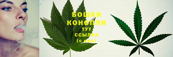mdpv Лабытнанги