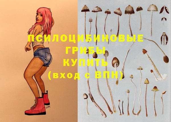 mdpv Лабытнанги