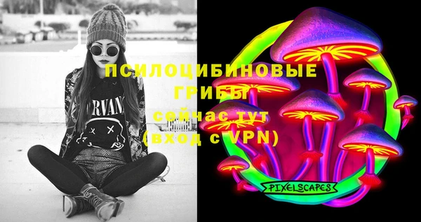 mdpv Лабытнанги