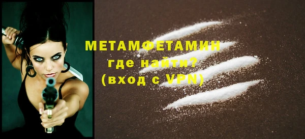 крисы Дедовск