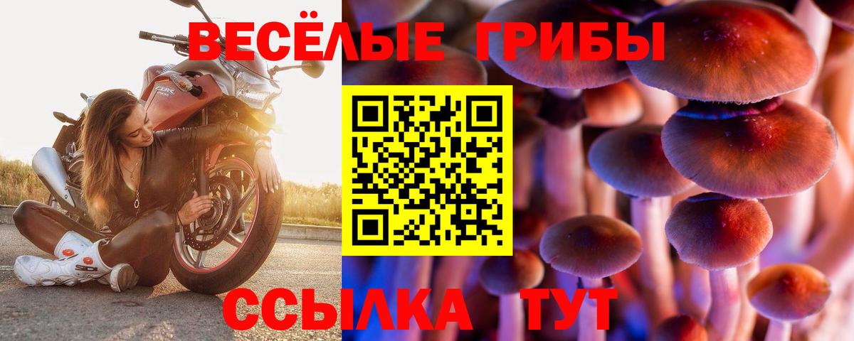 Галлюциногенные грибы мицелий  Вход с VPN  Полевской 