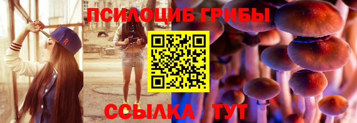 Галлюциногенные грибы MAGIC MUSHROOMS  Галлюциногенные грибы MAGIC MUSHROOMS  Полевской 